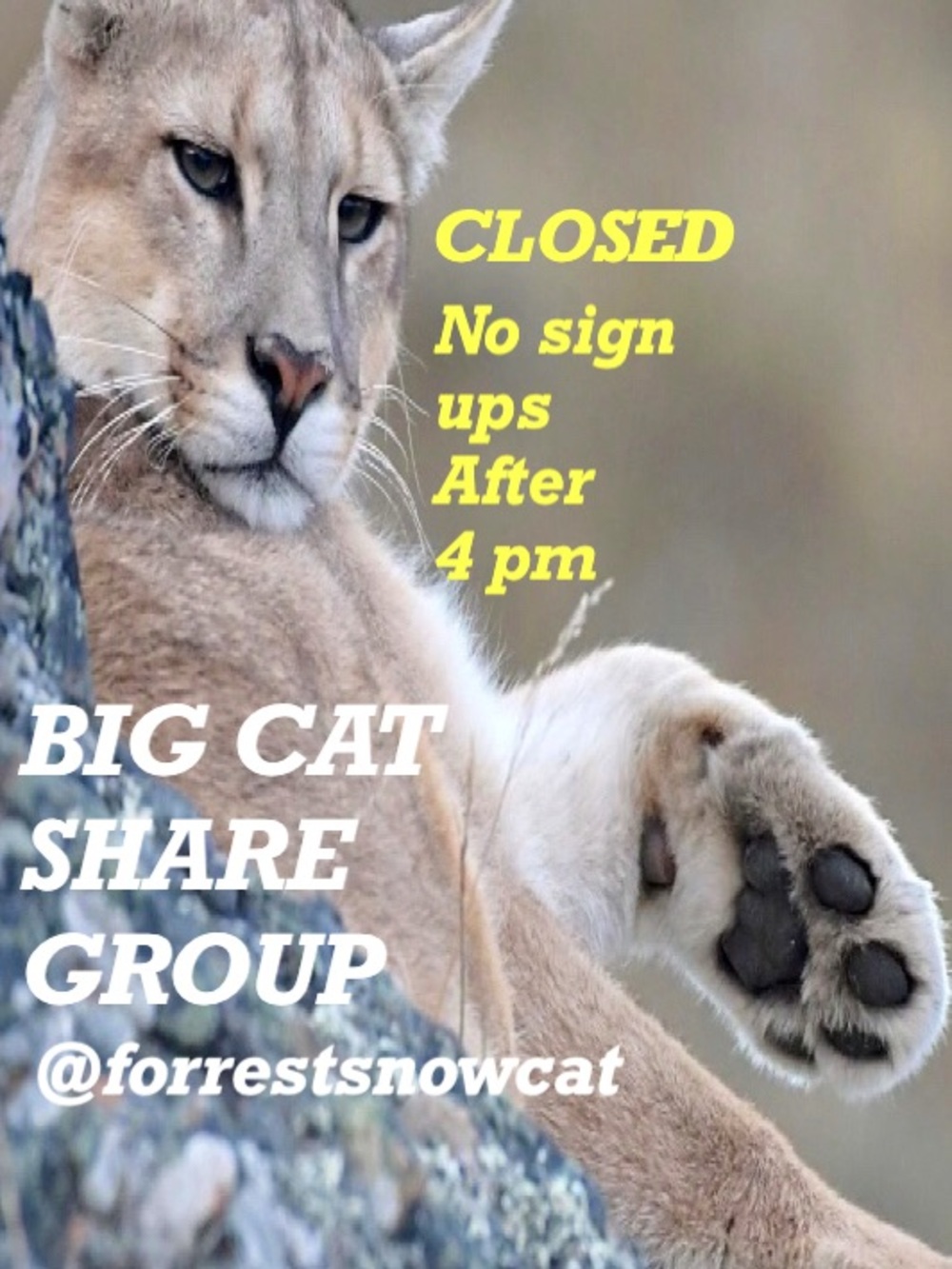 BIG CAT SHARE GROUP WEDNESDAY 9/16 CLOSED